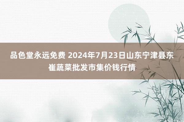 品色堂永远免费 2024年7月23日山东宁津县东崔蔬菜批发市集价钱行情
