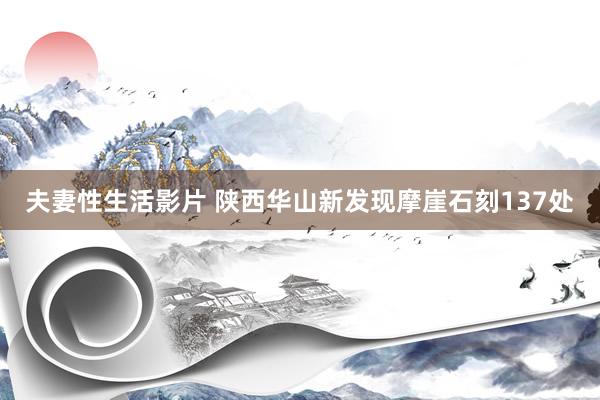 夫妻性生活影片 陕西华山新发现摩崖石刻137处