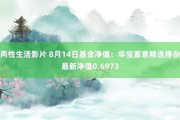 两性生活影片 8月14日基金净值：华宝蓄意精选搀杂最新净值0.6973