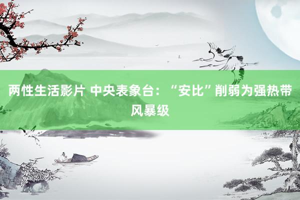 两性生活影片 中央表象台：“安比”削弱为强热带风暴级