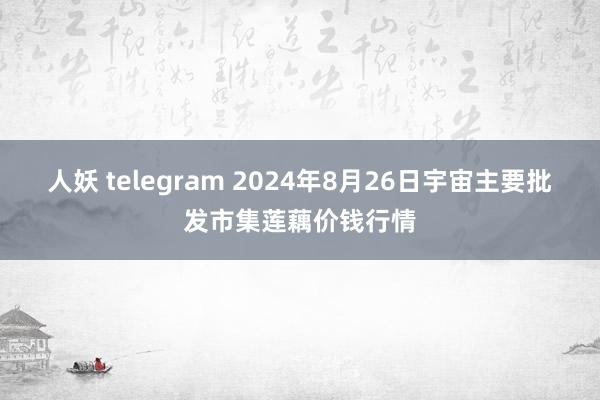 人妖 telegram 2024年8月26日宇宙主要批发市集莲藕价钱行情