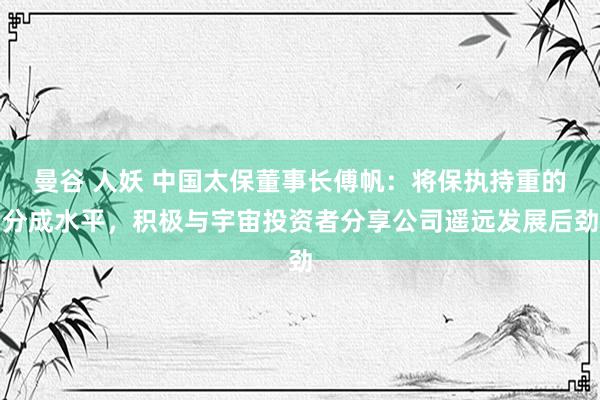 曼谷 人妖 中国太保董事长傅帆：将保执持重的分成水平，积极与宇宙投资者分享公司遥远发展后劲