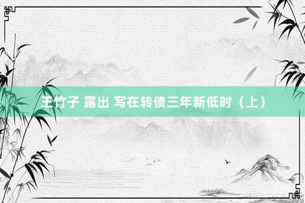 王竹子 露出 写在转债三年新低时（上）