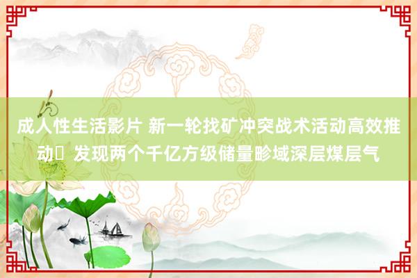 成人性生活影片 新一轮找矿冲突战术活动高效推动 发现两个千亿方级储量畛域深层煤层气