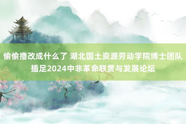偷偷撸改成什么了 湖北国土资源劳动学院博士团队插足2024中非革命联贯与发展论坛