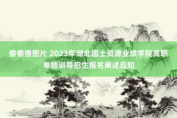偷偷撸图片 2023年湖北国土资源业绩学院高职单独训导招生报名阐述应知