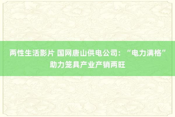 两性生活影片 国网唐山供电公司：“电力满格”助力笼具产业产销两旺