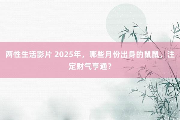两性生活影片 2025年，哪些月份出身的鼠鼠，注定财气亨通？