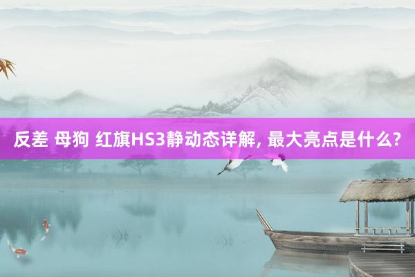 反差 母狗 红旗HS3静动态详解， 最大亮点是什么?