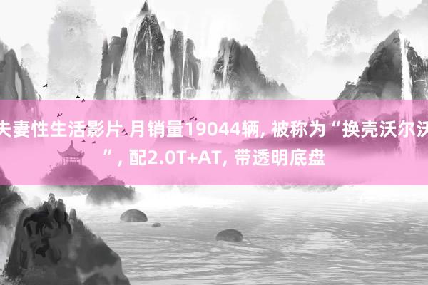 夫妻性生活影片 月销量19044辆， 被称为“换壳沃尔沃”， 配2.0T+AT， 带透明底盘