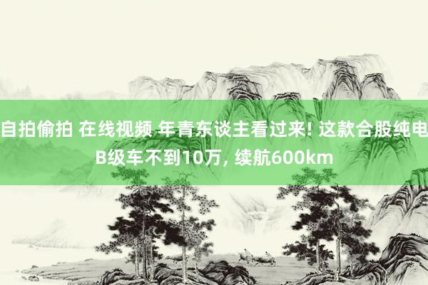 自拍偷拍 在线视频 年青东谈主看过来! 这款合股纯电B级车不到10万， 续航600km