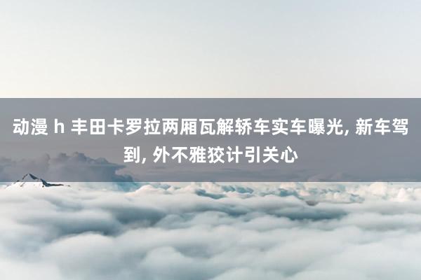 动漫 h 丰田卡罗拉两厢瓦解轿车实车曝光, 新车驾到, 外不雅狡计引关心