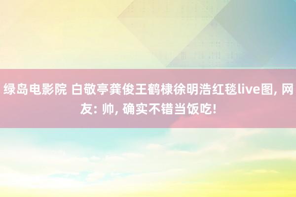绿岛电影院 白敬亭龚俊王鹤棣徐明浩红毯live图， 网友: 帅， 确实不错当饭吃!