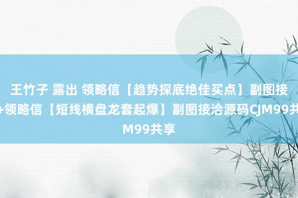 王竹子 露出 领略信【趋势探底绝佳买点】副图接洽+领略信【短线横盘龙套起爆】副图接洽源码CJM99共享
