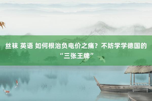丝袜 英语 如何根治负电价之痛？不妨学学德国的“三张王牌”